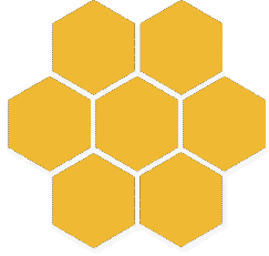image info